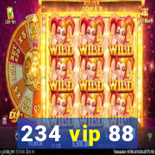 234 vip 88